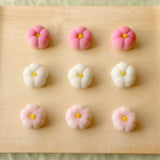 閲覧用【394616】季節の花もち(春)【桜・白梅・紅梅】 各3個入