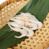 閲覧用【382208】富山県産 白エビ釜揚げ 100㌘